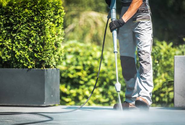 Best House Exterior Washing  in Mesita, NM