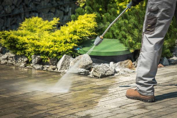 Best Pre-Holiday Cleaning  in Mesita, NM